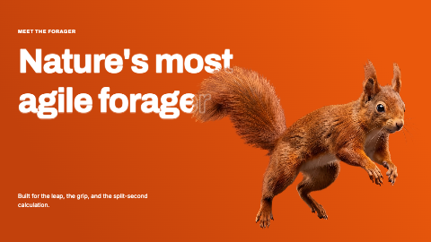 The Agile Forager presentation template cover slide
