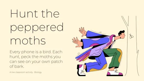 Hunt the peppered moths presentation template cover slide